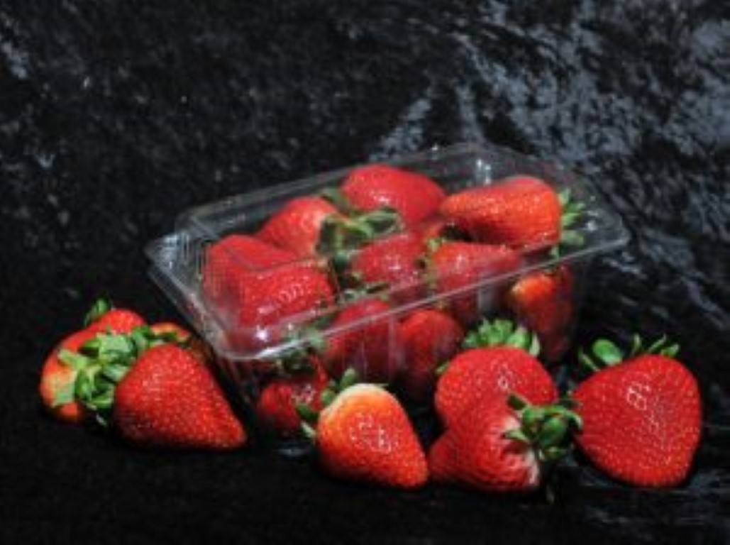 E-D Engineering Strawberry Container