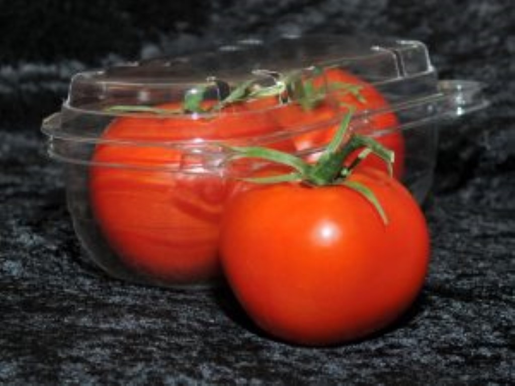 Tomato Container E D Engineering Systems