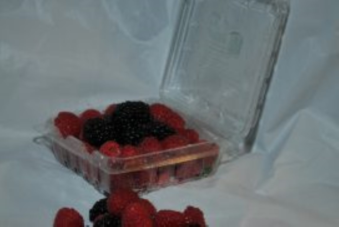 ED Engineering Berry Food Container